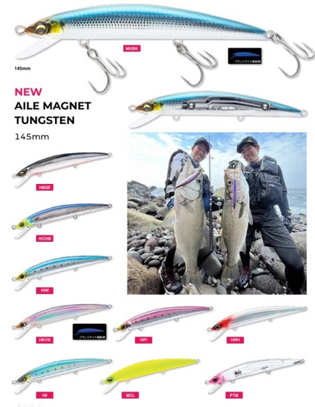 AILE MAGNET TUGNSTEN