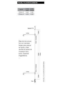 BAJO PAJEL FLUOROCARBON - Imagen 1