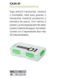 Imagen 1 - CAJA 01 MULTIDEPARTAMENTOS 35x22x8XL CAJA 01 MULTIDEPARTAMENTOS 35x22x8XL - Imagen 1