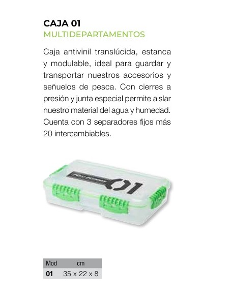 CAJA 01 MULTIDEPARTAMENTOS 35x22x8XL