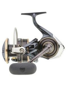 Imagen 1 - CALDIA 23 SW (GRANDE) CALDIA 23 SW (GRANDE) - Imagen 1