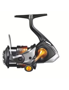 Soare BB A - Imagen 1