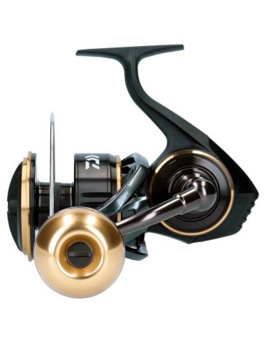 BG MQ ARK (GRANDE) - Imagen 2