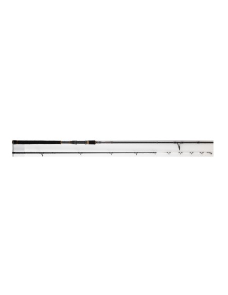 RAYFORCE  XBR TANERA Boat