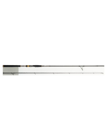 RAYCAST XBR SHORE JIG