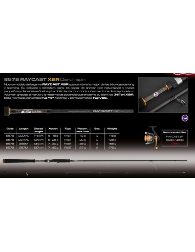 RAYCAST XBR Dart'n spinn - Imagen 2