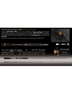 RAYCAST XBR TIP RUN Eging - Imagen 2