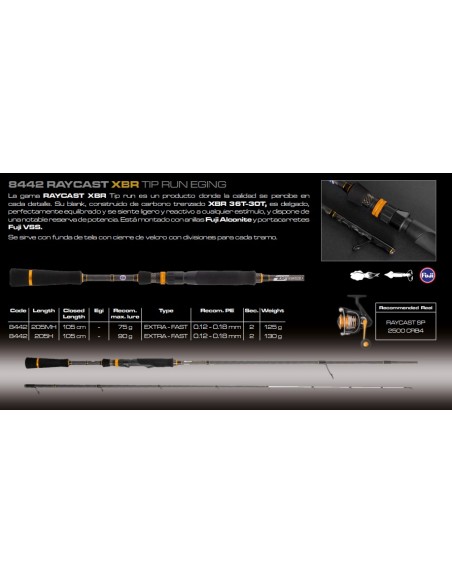 RAYCAST XBR TIP RUN Eging - Imagen 2