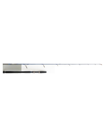 BLUE LINE Inshore UL Jigging