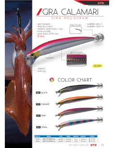 GIRA CALAMARI - Imagen 1