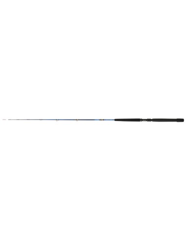 23 TANACOM BOAT - Imagen 1