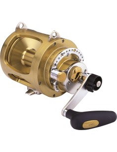 TRIDENT TS - Imagen 1