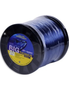 BIG THUNNUS - Imagen 1