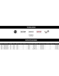 CASTIZM SURF - Imagen 2