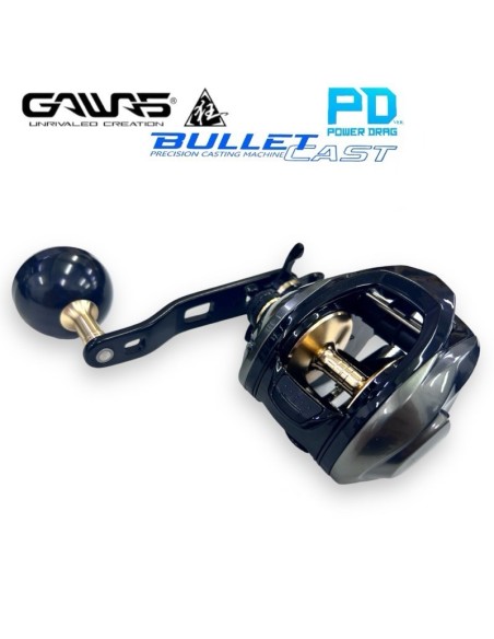 BULLET CAST BC-SW302