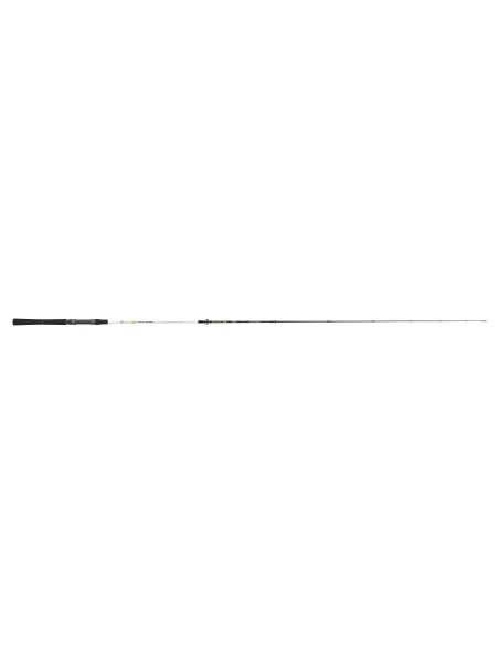 SPOT BASS
