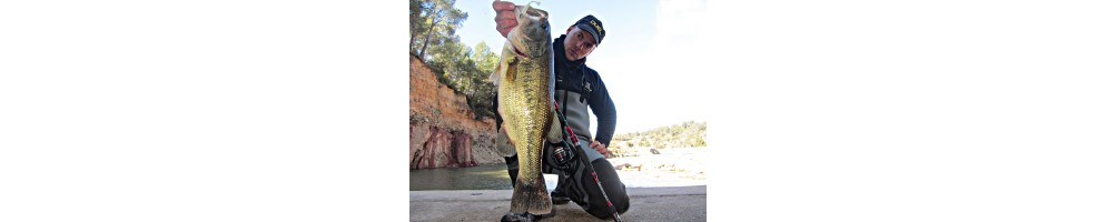 BLACK BASS Y DEPREDADORES