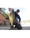 BLACK BASS Y DEPREDADORES