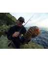 ROCKFISHING